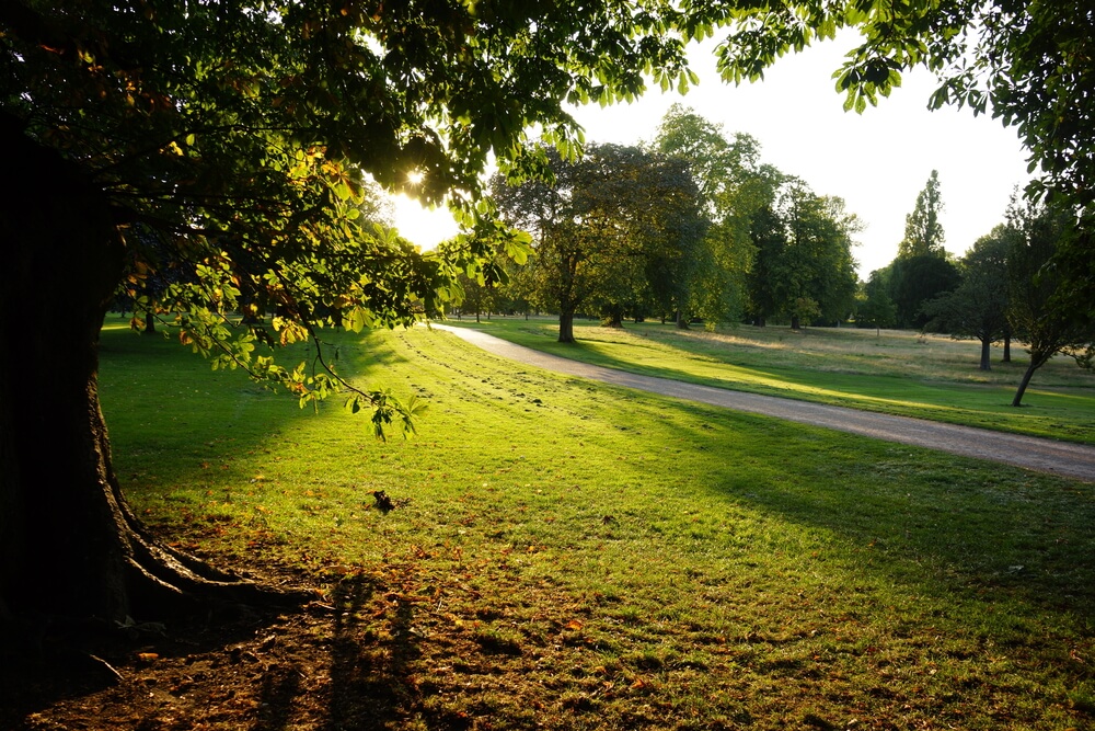 One of the top 10 Parks in West London